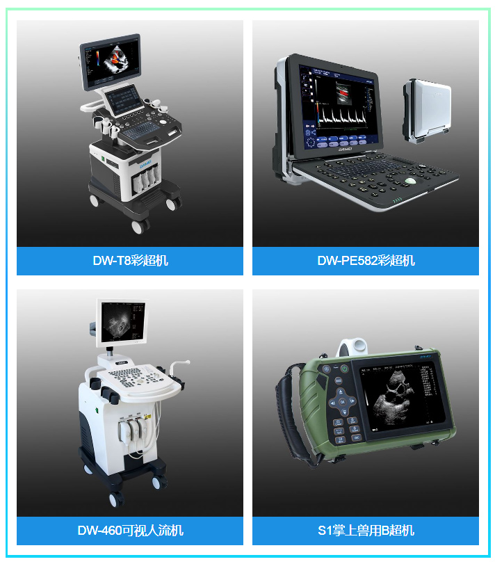 大為超聲診斷儀